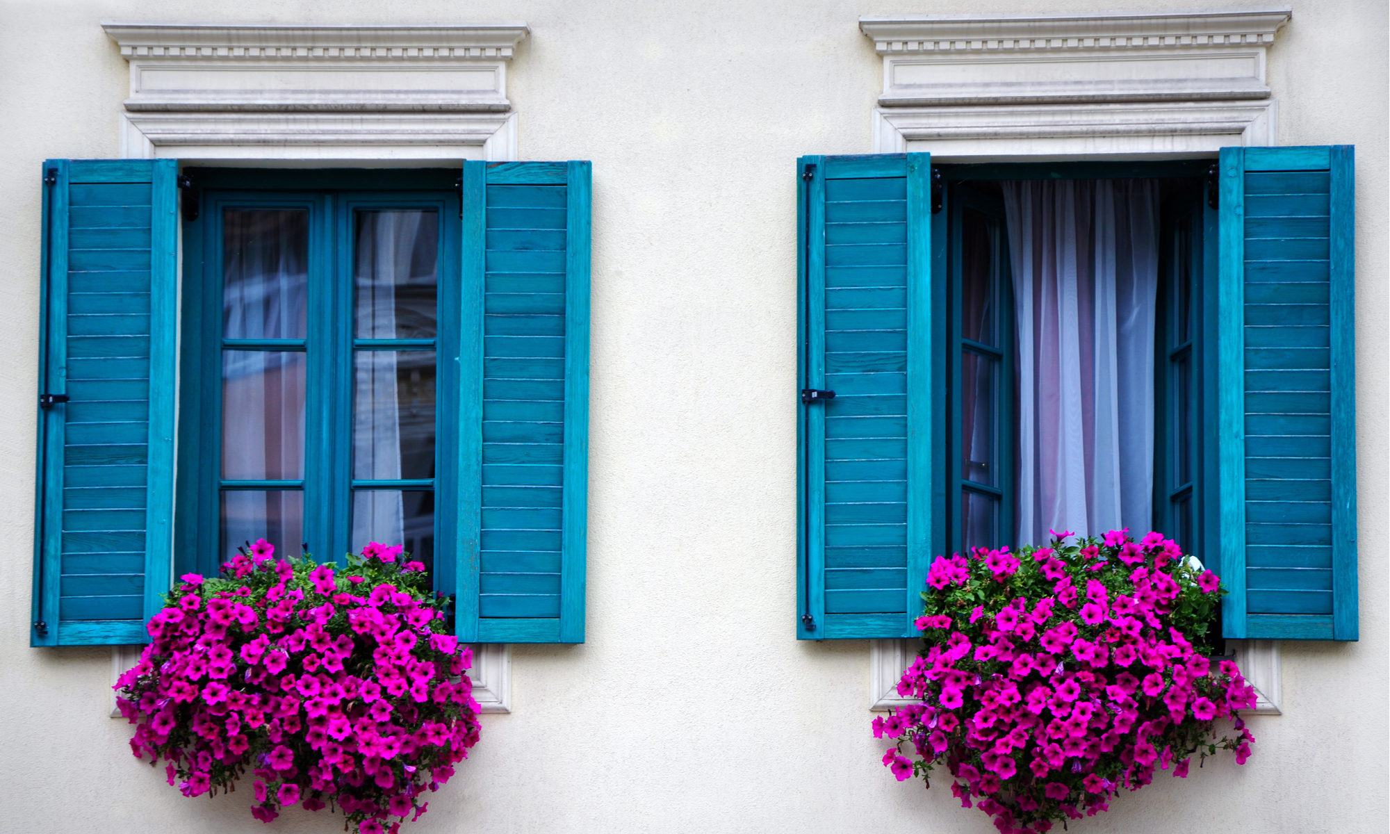 What colour is the window. Синее окно. Синее окно с цветами. Окно с отражением и ставнями цветы. Горшки с цветами у окна голубые.